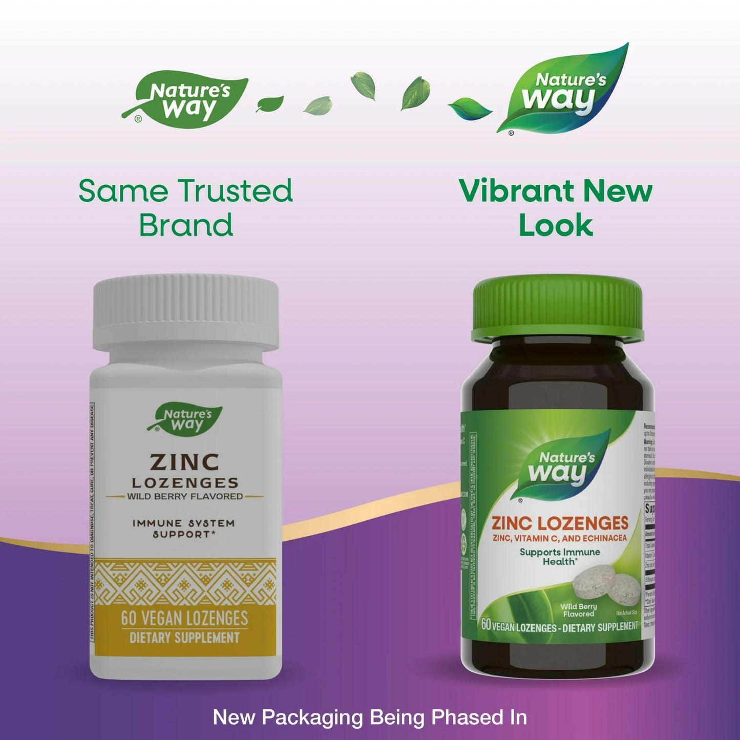 Nature's Way Zinc Lozenges – Wild Berry Immune Support Supplement, 60 Ct - Exotic Pro