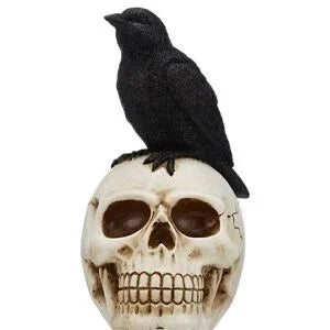 Spooky Village Skull with Raven Decor, 8.6" – Gothic Halloween Tabletop - Exotic Pro