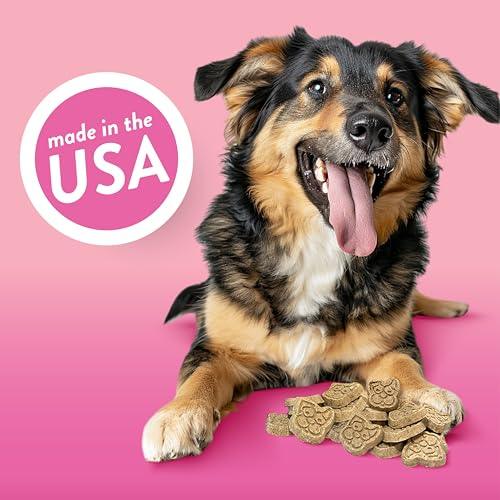Spunky Pup Peanut Butter Kiss Crunchy Dog Treats, 10 oz - Exotic Pro