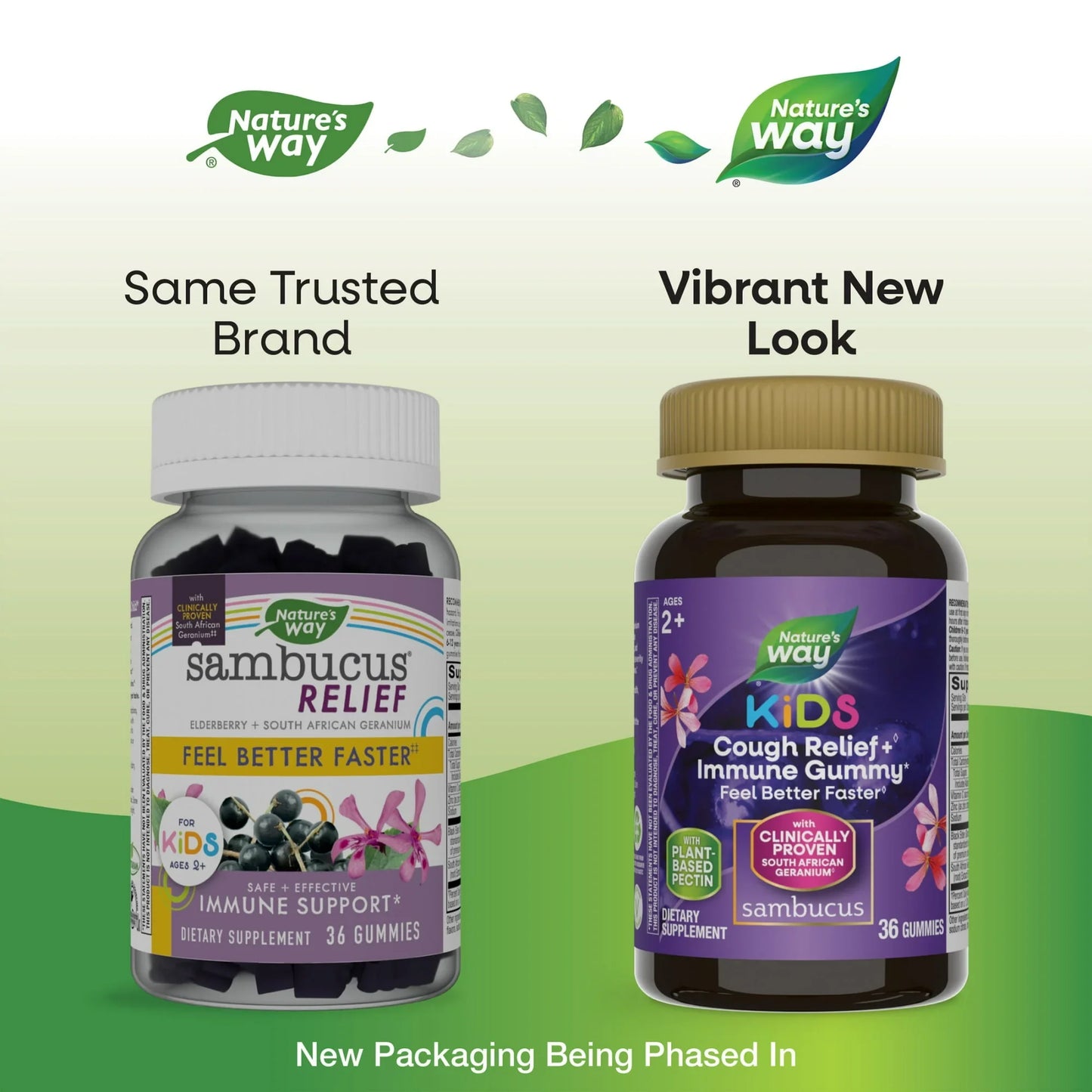 Sambucus Kids Cough & Immune Relief Gummies with Elderberry – 36 Ct - Exotic Pro