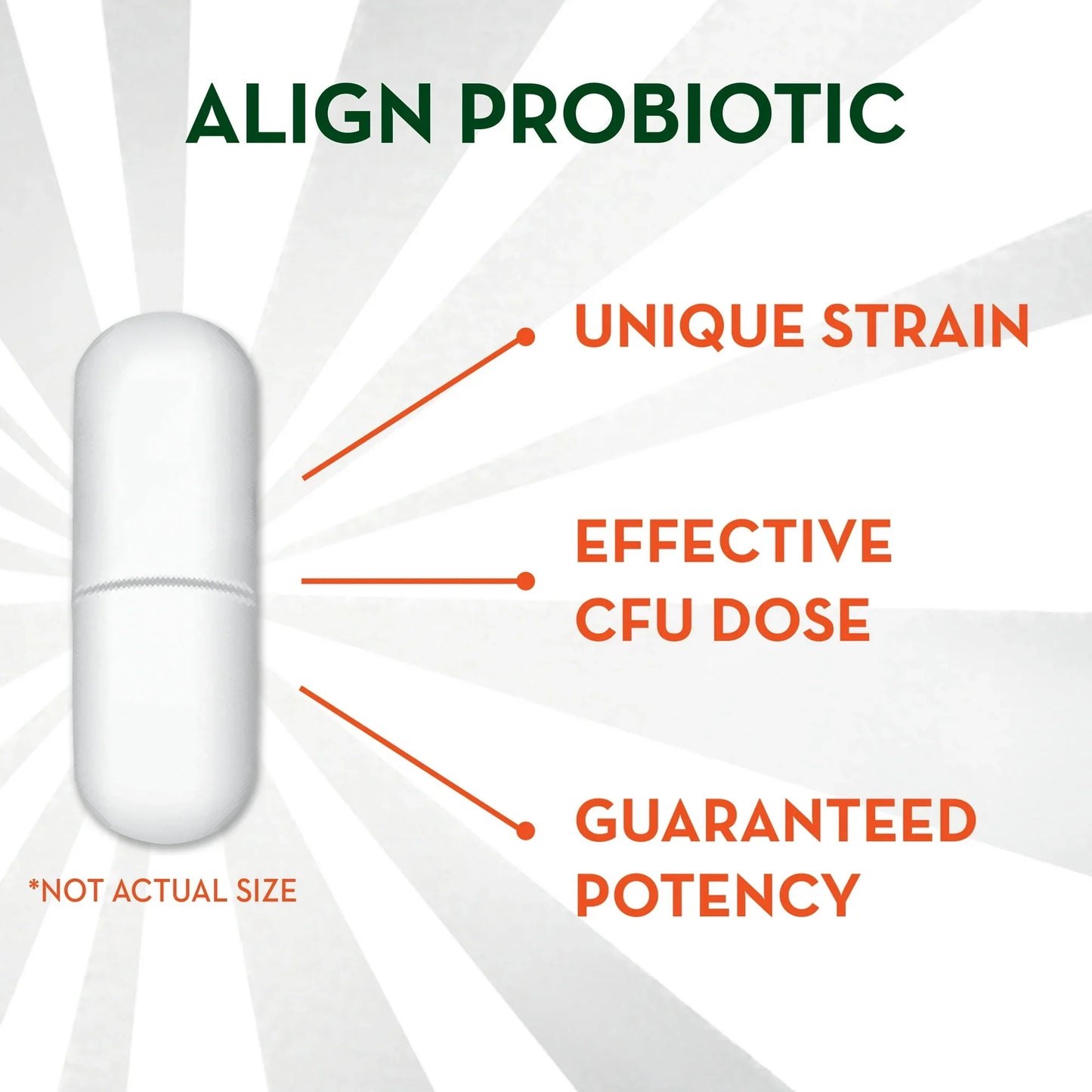 Align Probiotic Capsules – Daily Digestive Health Supplement, 28 Count - Exotic Pro