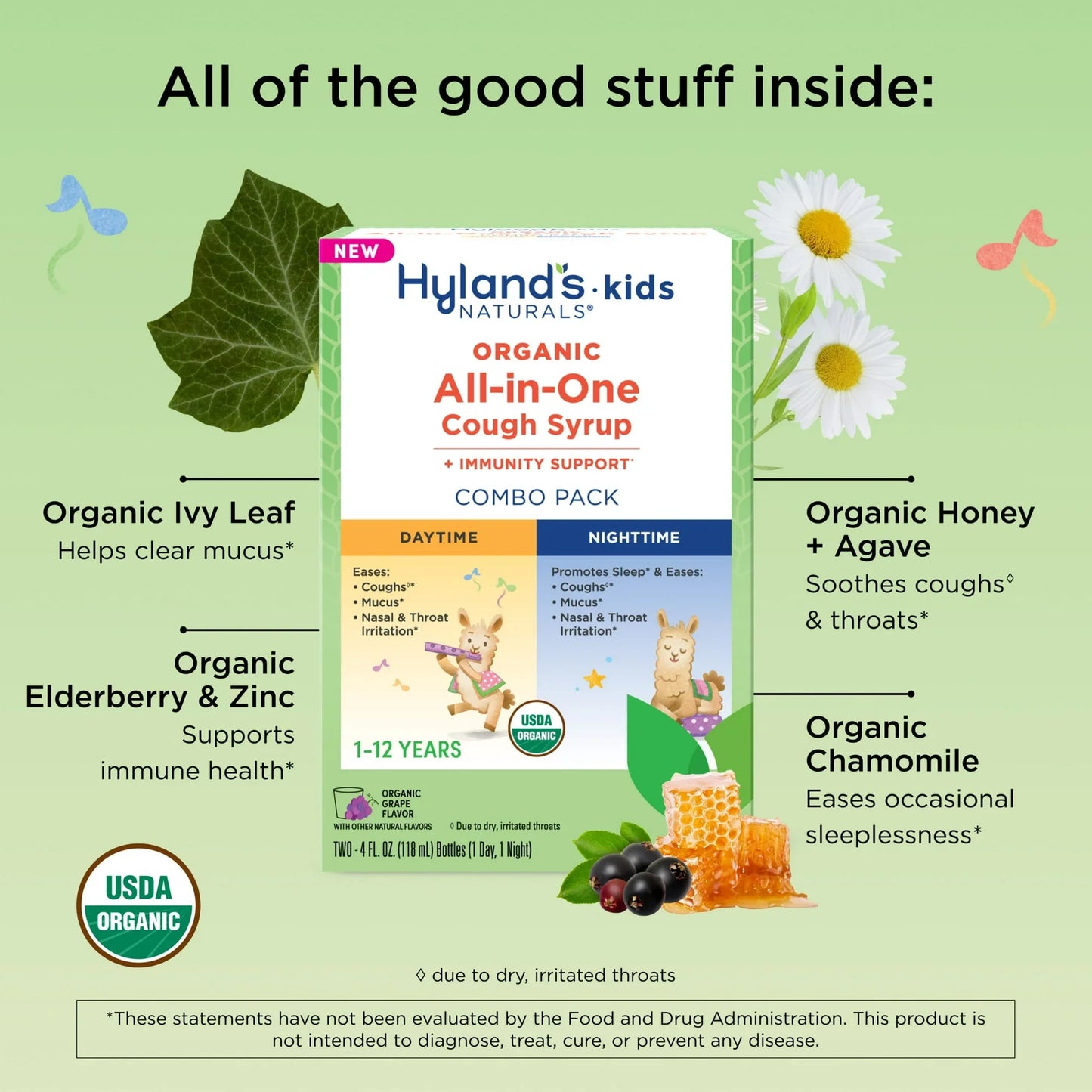 Hyland's Kids Organic All-in-One Cough Syrup – Day & Night Combo, 8 fl oz - Exotic Pro